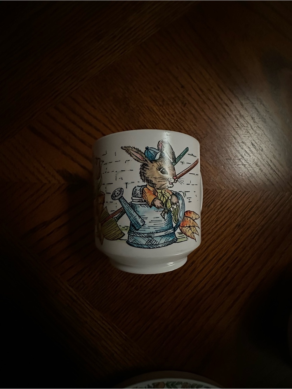 Oneida Deluxe Peter Rabbit Melamine Dinnerware Set - Picture 3 of 16